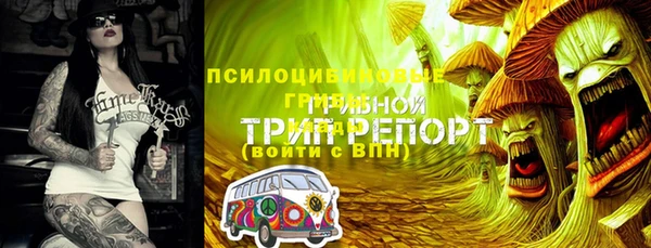 спиды Алзамай