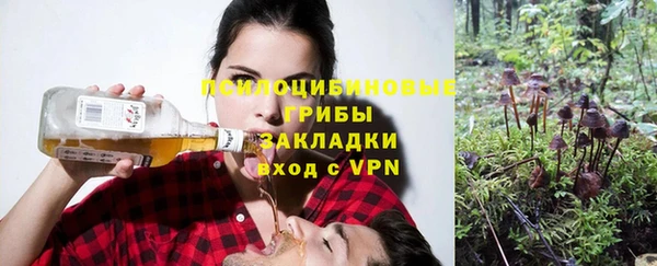 спиды Алзамай