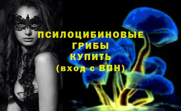 МДМА Алексеевка