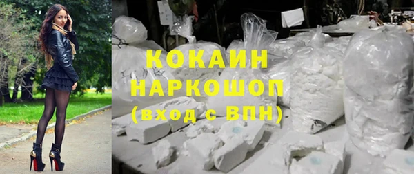соль ск Алексин