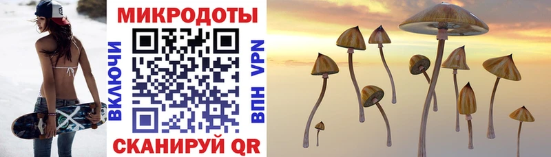 Галлюциногенные грибы прущие грибы  Петушки 